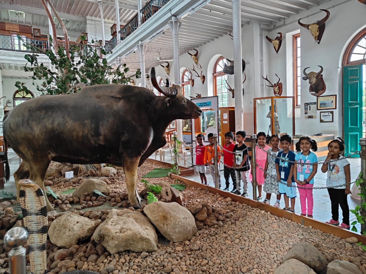 Field Trip